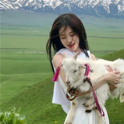 百万军中龙虎斗在线观看封面